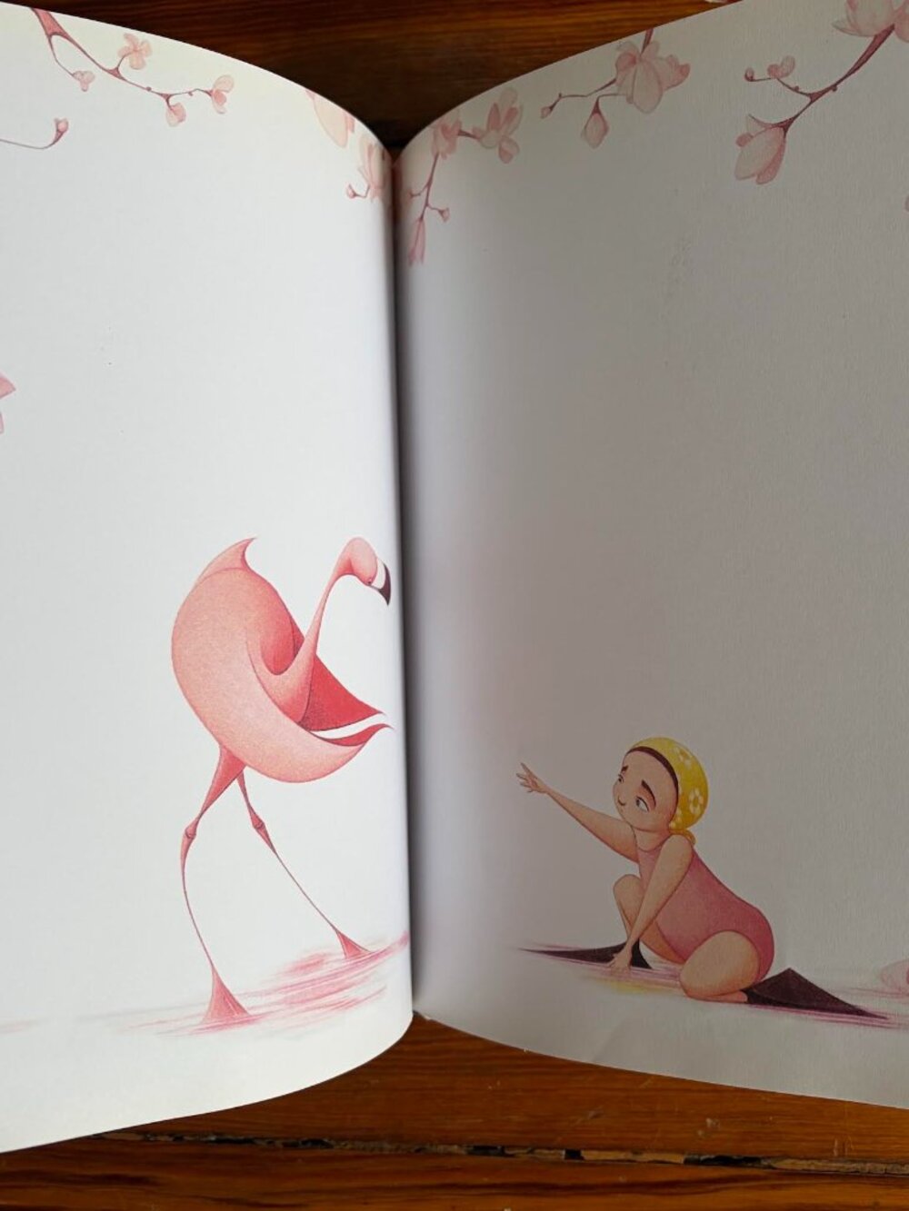 FLORA & THE FLAMINGO Hardcover book by Molly Idle